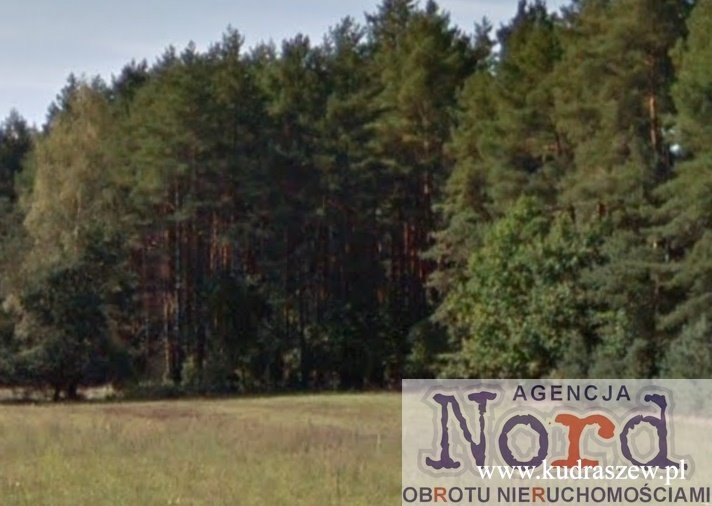 Działka leśna na sprzedaż Rajgród  3 843m2 Foto 1