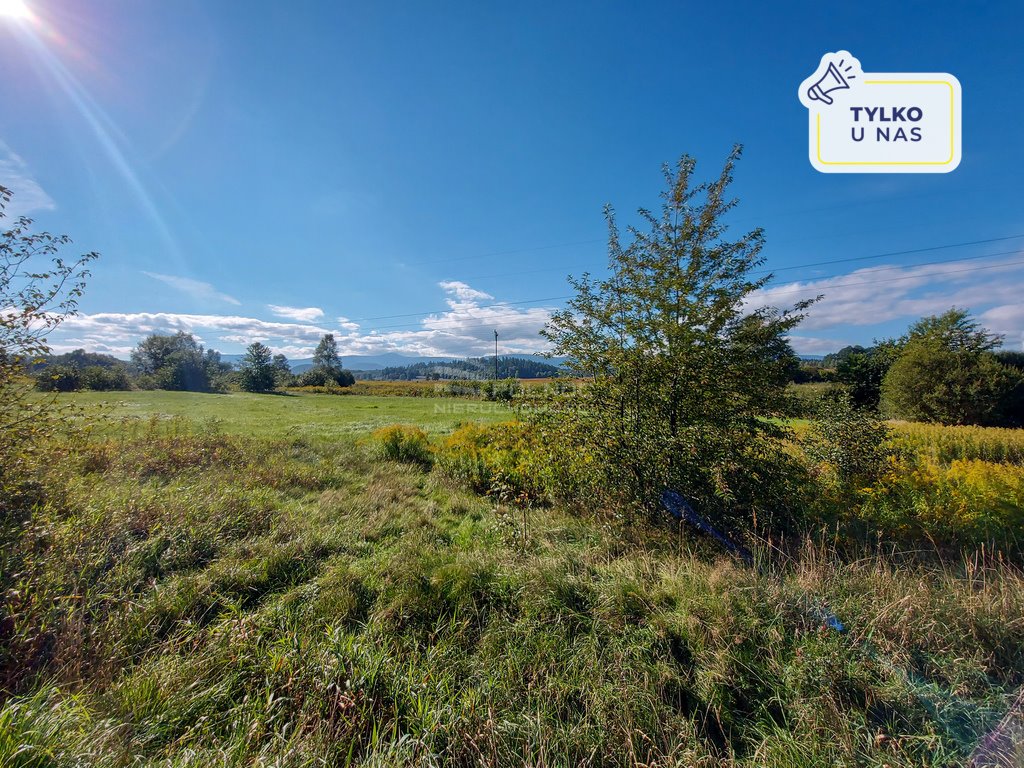Działka budowlana na sprzedaż Jelenia Góra, Andrzeja Cinciały  18 637m2 Foto 1