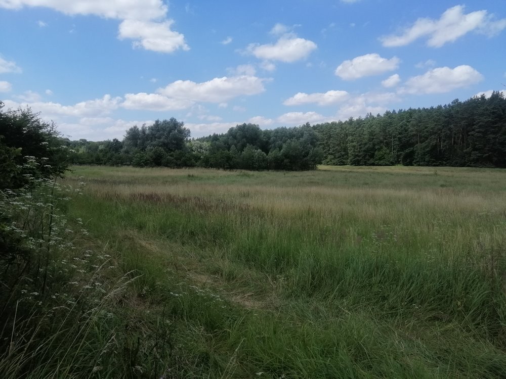 Działka 1,32 ha pod budowę z mediami i stawem Krzęcin  13 200m2 Foto 1