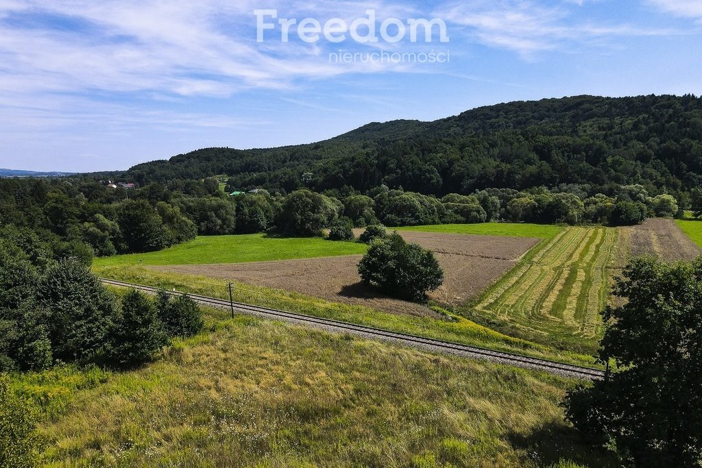 Działka rolna na sprzedaż Cieszyna  9 593m2 Foto 13