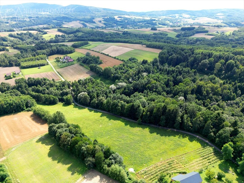 Działka budowlana na sprzedaż Błażkowa  2 559m2 Foto 14