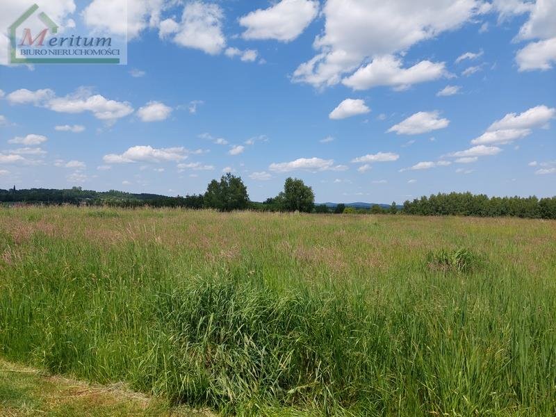 Działka budowlana na sprzedaż Krosno, Krosno  1 197m2 Foto 6