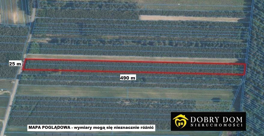 Działka leśna na sprzedaż Stanisławów  11 500m2 Foto 1