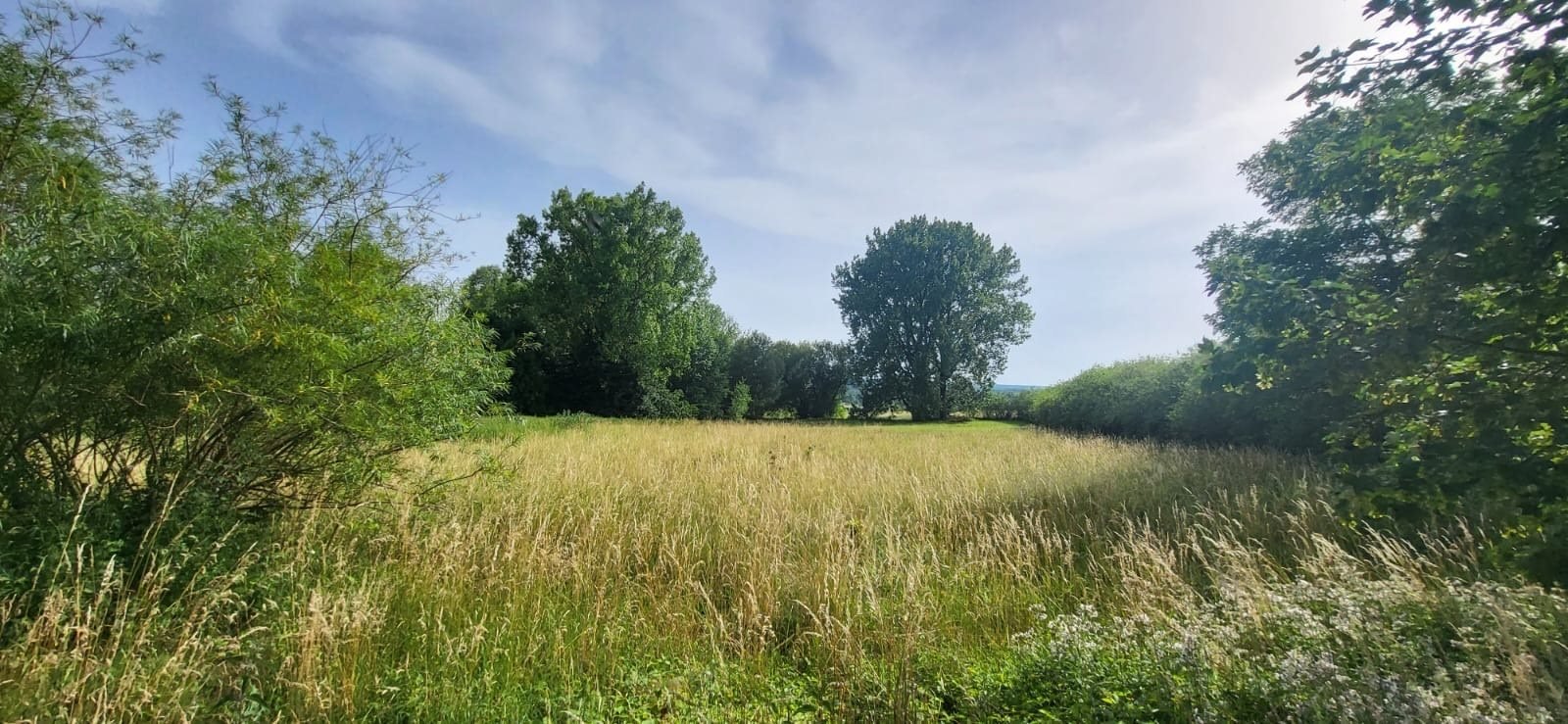 Działka inna na sprzedaż Strońsko  4 900m2 Foto 5