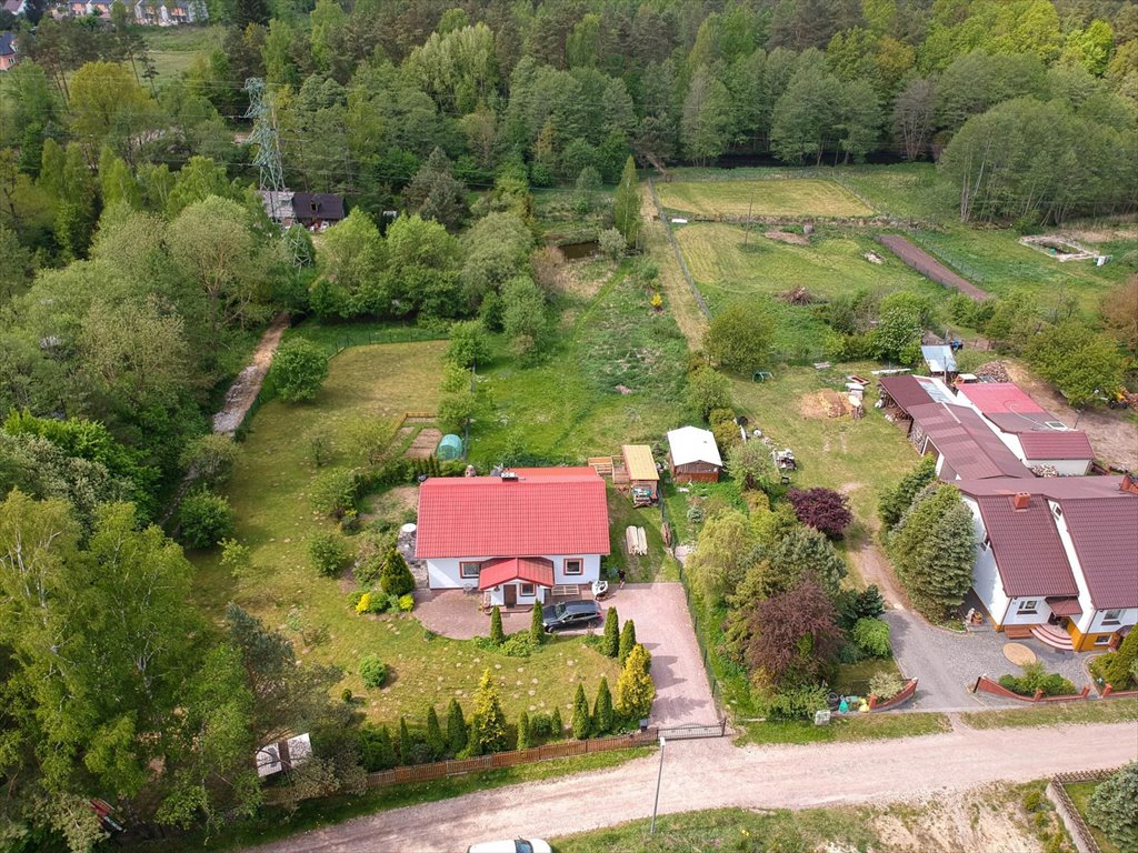 Działka budowlana na sprzedaż Orle  2 676m2 Foto 14