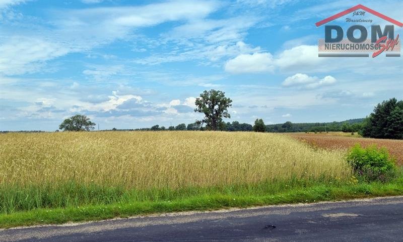 Działka budowlana na sprzedaż Stara Korytnica  13 800m2 Foto 1