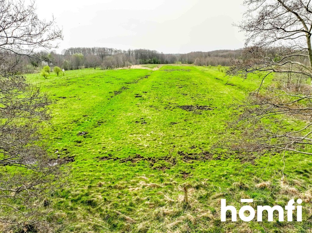 Działka budowlana na sprzedaż Sasino  23 500m2 Foto 15