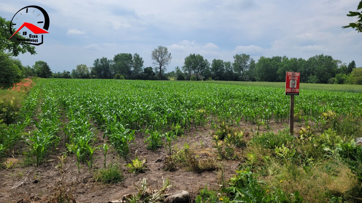 Działka budowlana na sprzedaż Inowrocław  3 000m2 Foto 8