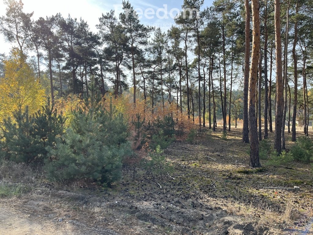 Działka budowlana na sprzedaż Czarne Błoto, Górna  1 000m2 Foto 4