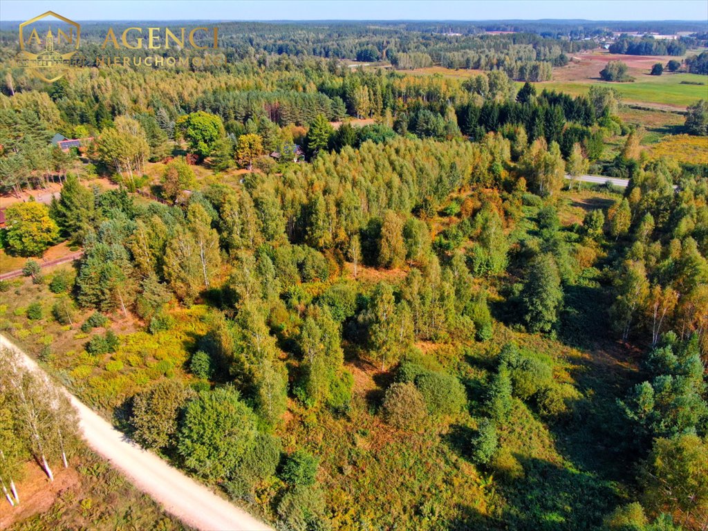 Działka budowlana na sprzedaż Katrynka  7 399m2 Foto 4