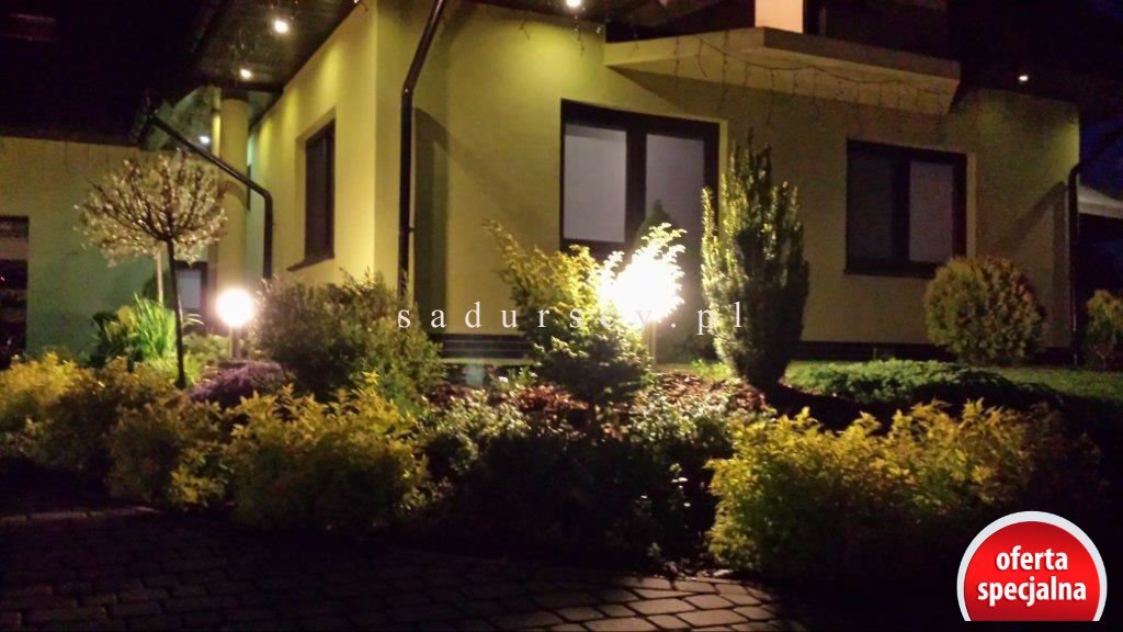 Dom na sprzedaż Modlnica, Modlnica 420m2 Foto 1 Dom na sprzedaż Modlnica, Modlnica 420m2 Foto 1