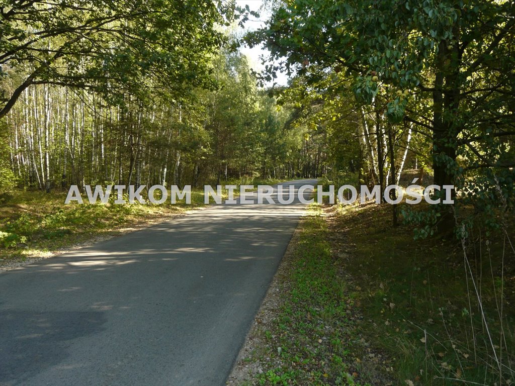 Działka leśna na sprzedaż Rawa Mazowiecka, Przewodowice  8 061m2 Foto 2