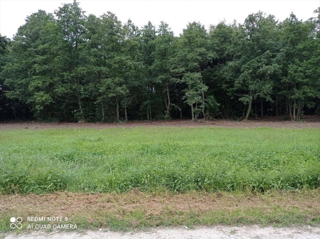 Działka budowlana na sprzedaż Rybno Wielkie, Brzozowa  1 931m2 Foto 1