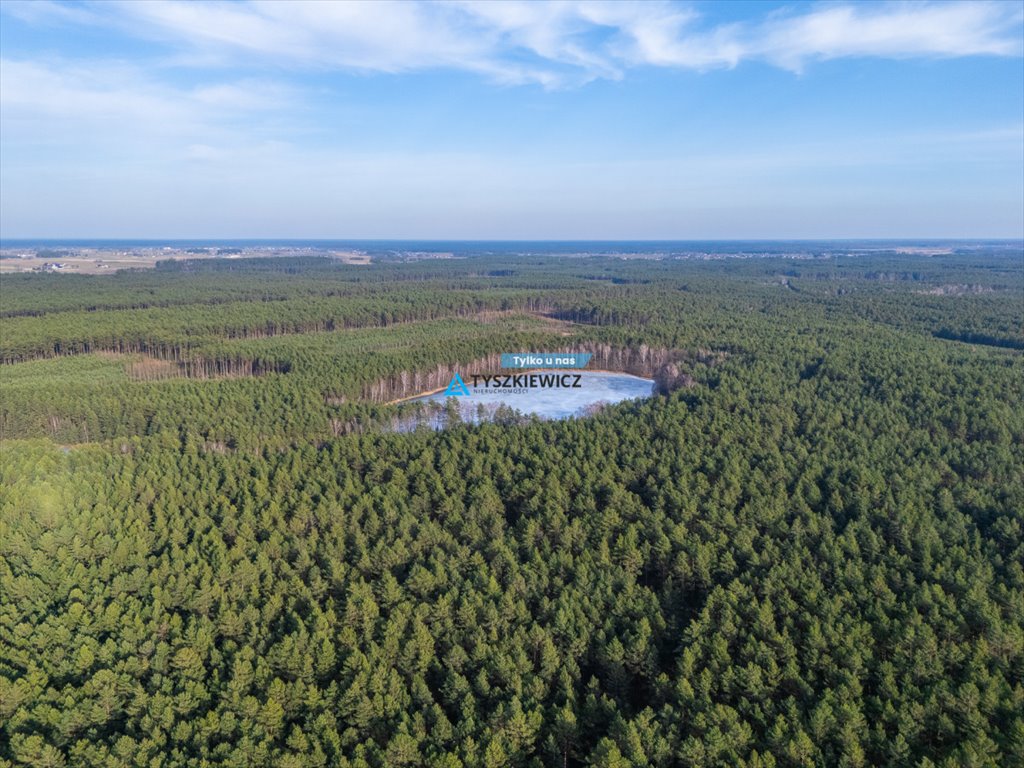 Działka leśna 2997 m² z bliskością jeziora Skąpego Broda  2 997m2 Foto 1