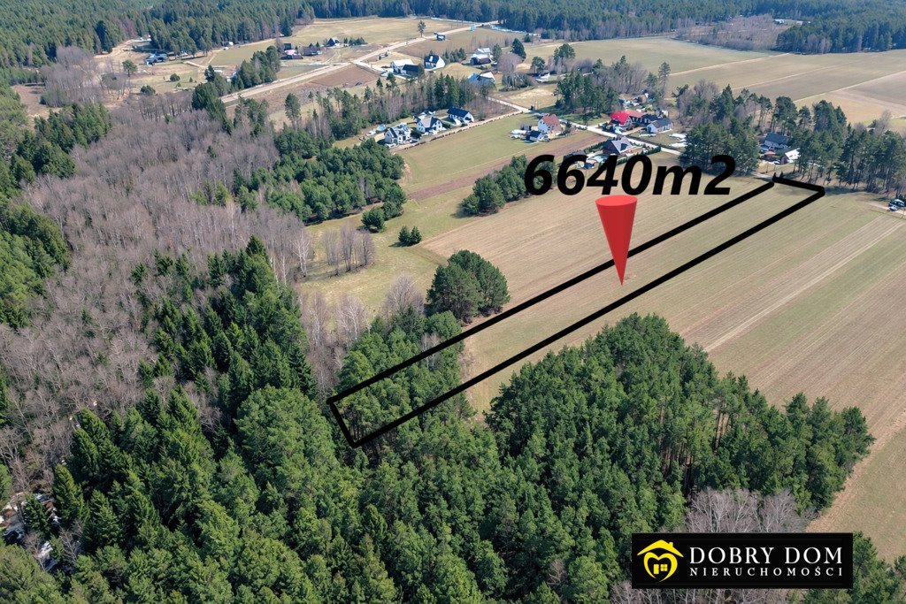 Działka 6640 m² z dostępem do drogi asfaltowej, las i pola Zalesie  6 640m2 Foto 1