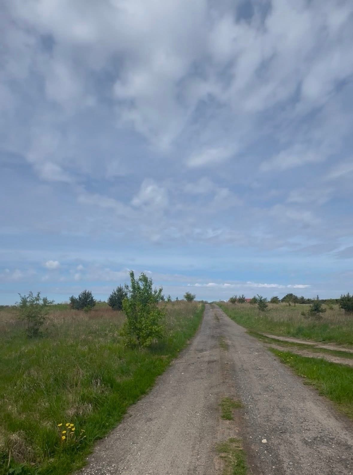 Działka inwestycyjna z WZ, blisko morza, 3450 m². Rewal, Rewal, Przy Lesie  3 450m2 Foto 1