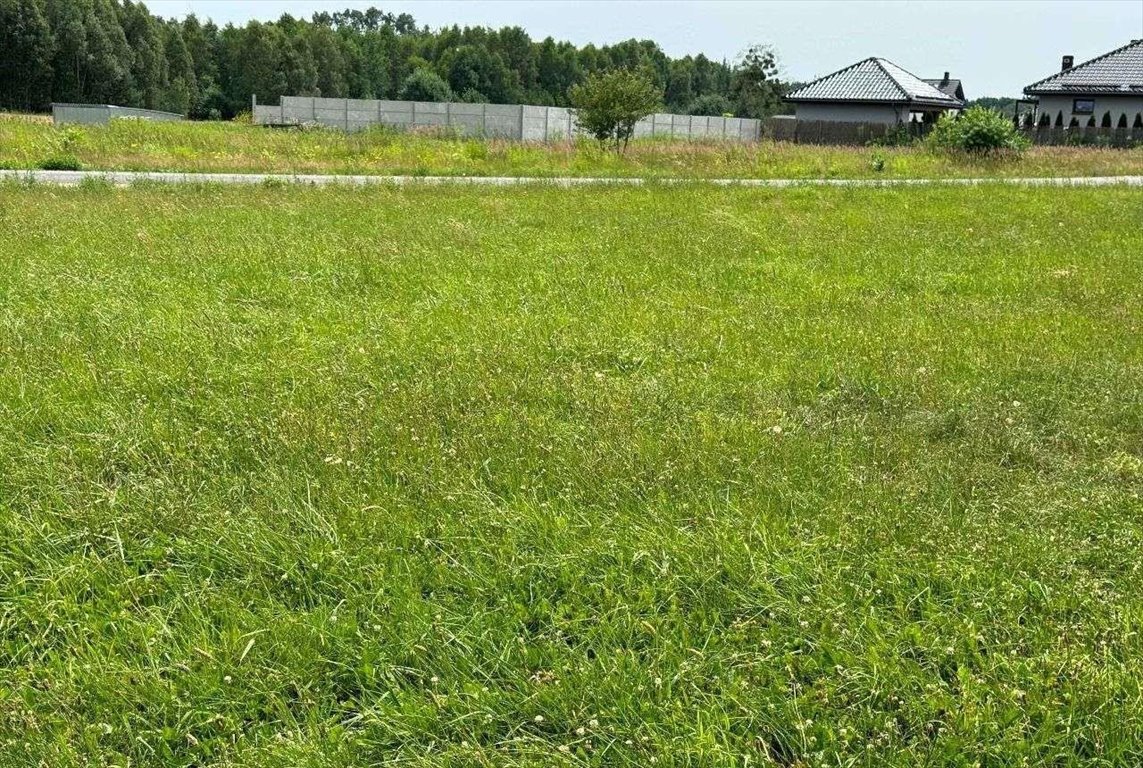 Działka budowlana na sprzedaż Tworóg  796m2 Foto 2