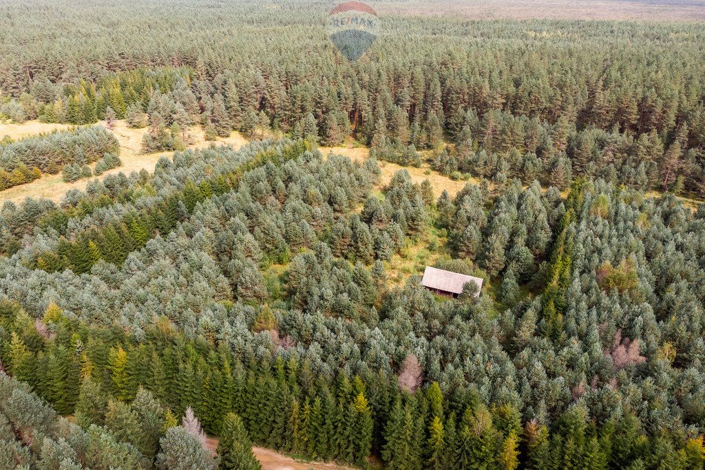 Działka rolna na sprzedaż Jabłonka, Leśna  20 000m2 Foto 18