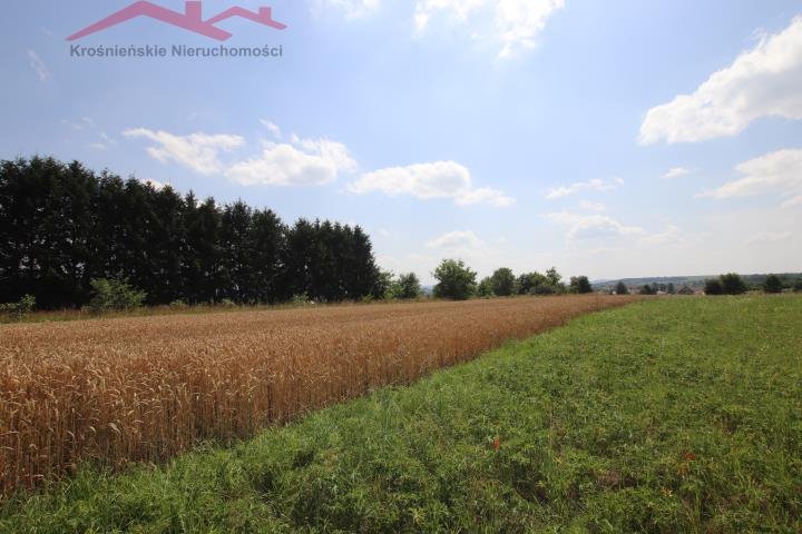 Działka budowlana na sprzedaż Łężany  3 930m2 Foto 8