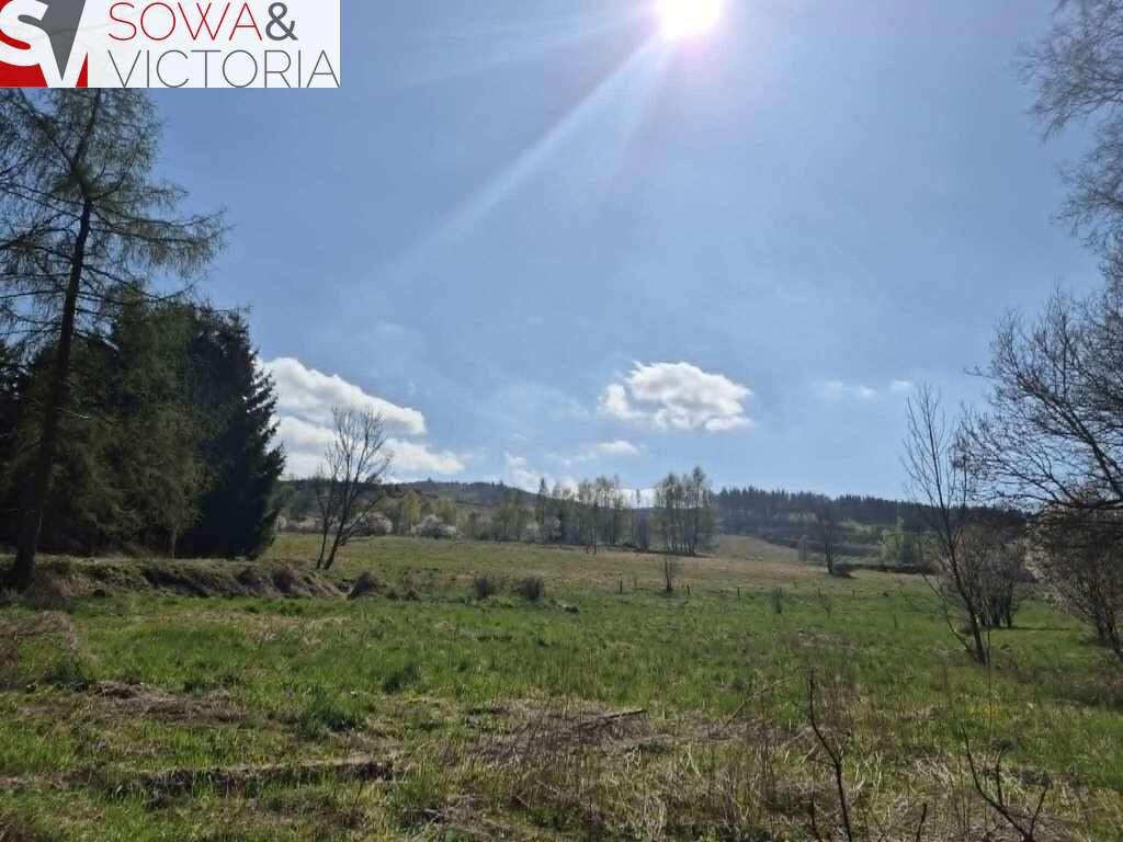 Do sprzedania działka 5312 m² z potencjałem zabudowy i zieleni Świerki  5 312m2 Foto 1