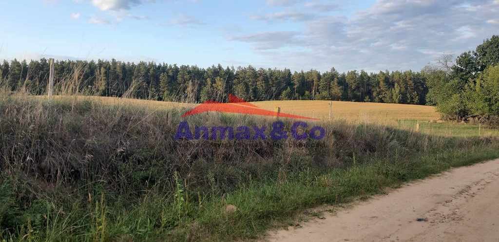 Działka budowlana na sprzedaż Strzelniki  3 900m2 Foto 7