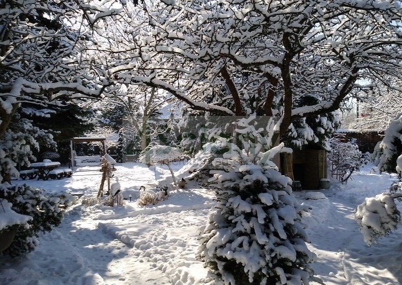 Działka budowlana na sprzedaż Dziekanów Leśny  1 006m2 Foto 1