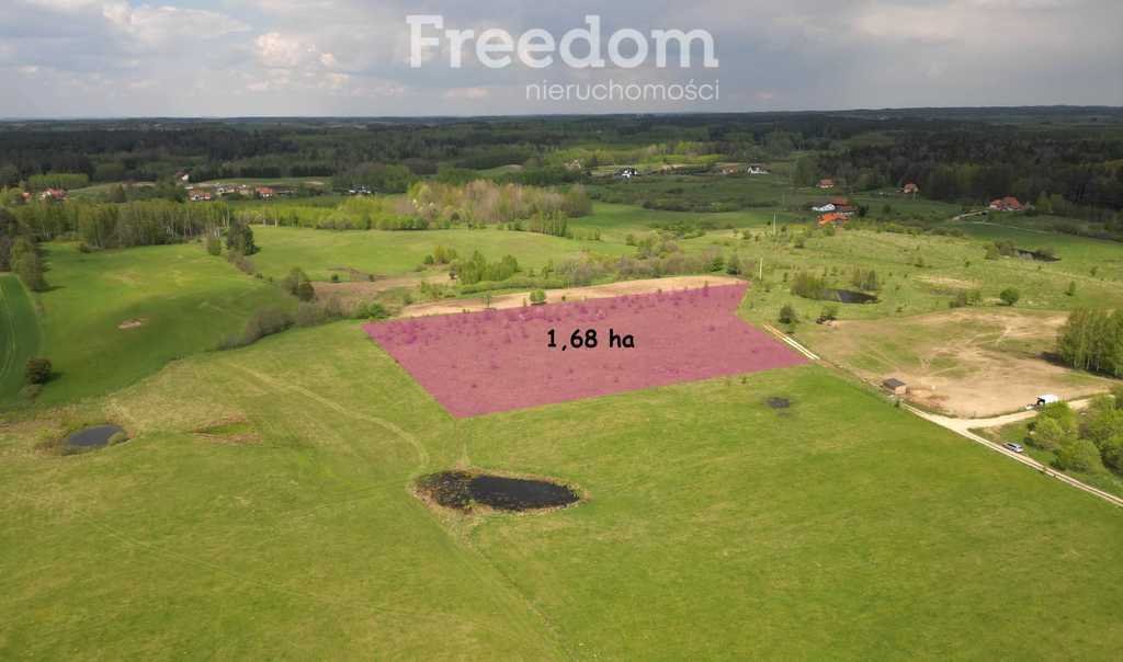 Działka rolna na sprzedaż Różnowo  16 800m2 Foto 2