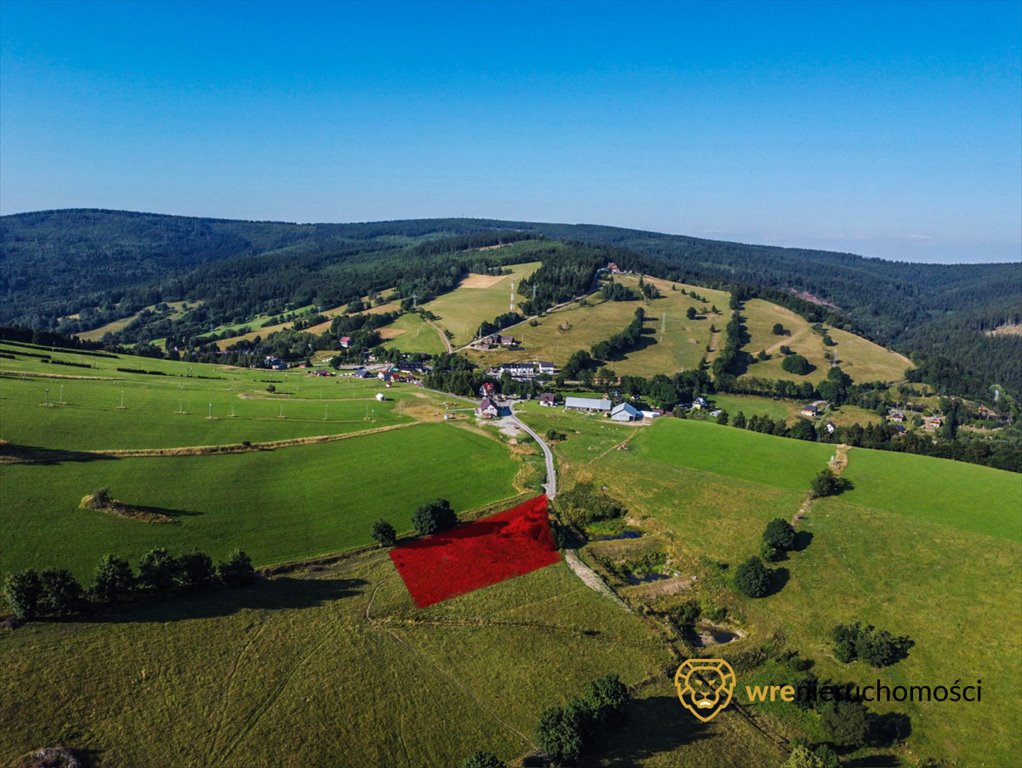 Działka inwestycyjna na sprzedaż Sokolec  3 540m2 Foto 1