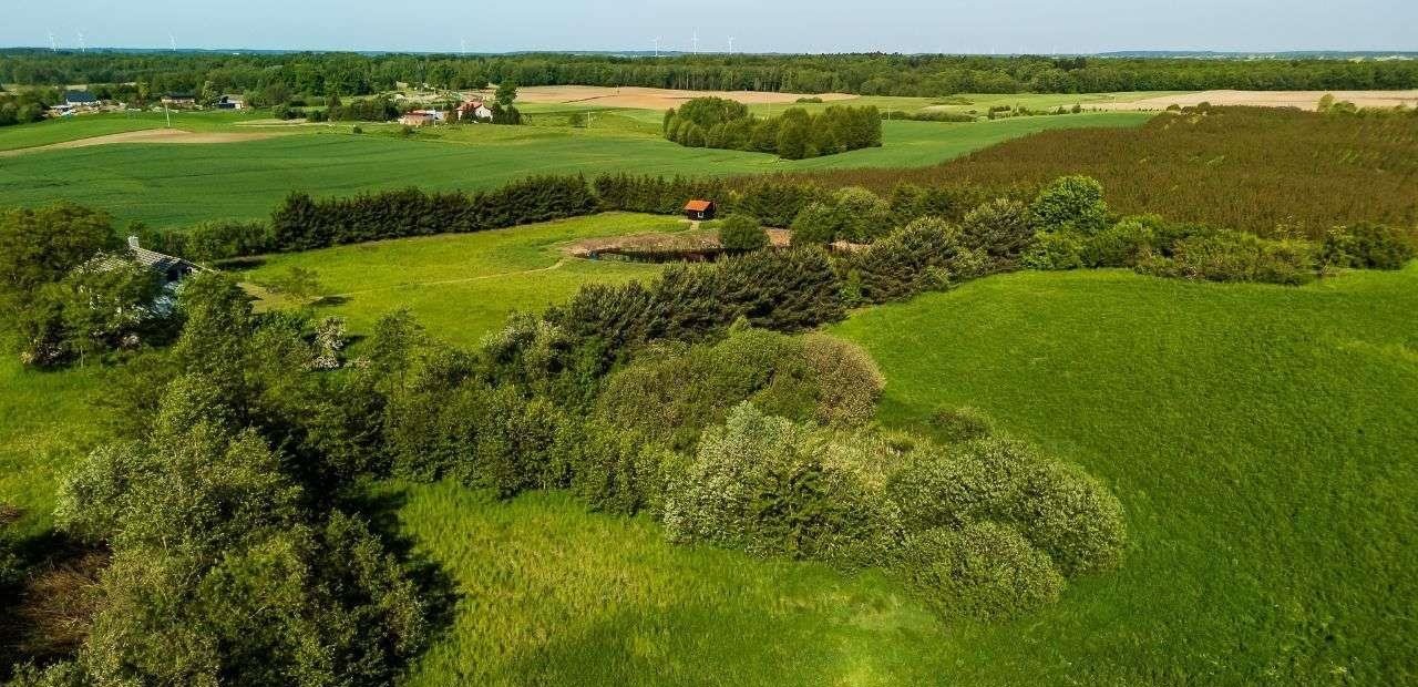 Działka rolna na sprzedaż Nejdyki  17 197m2 Foto 5