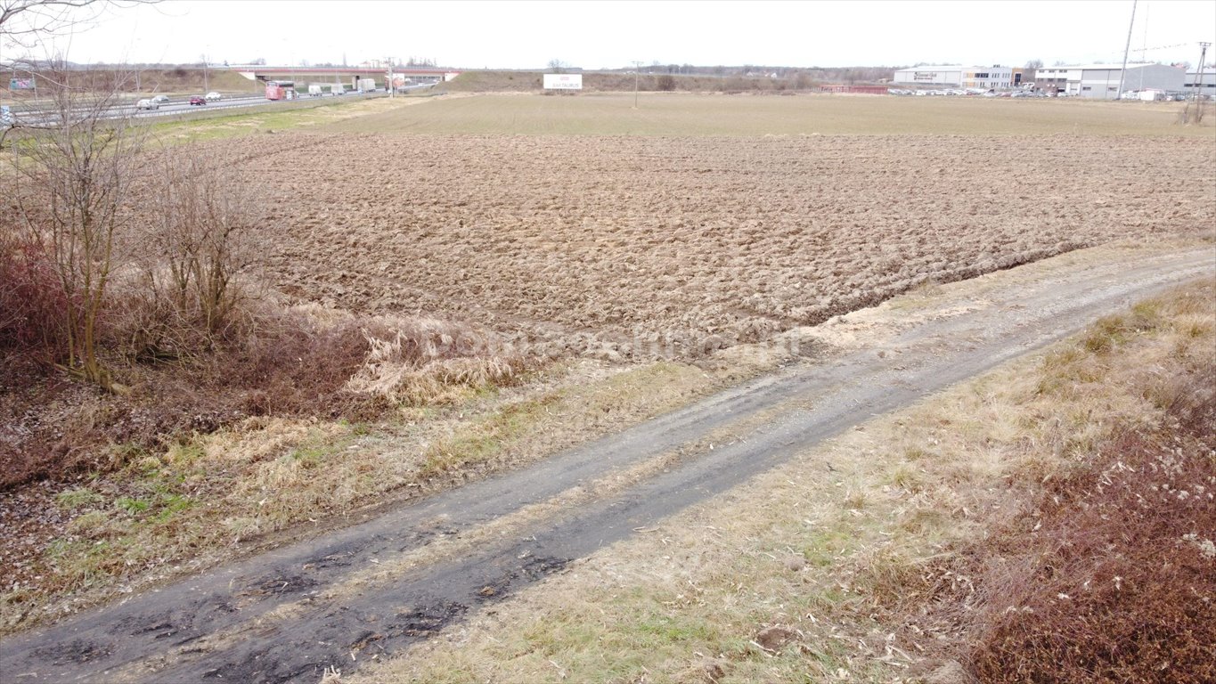 Działka przemysłowo-handlowa na sprzedaż Krzeczów  5 237m2 Foto 5