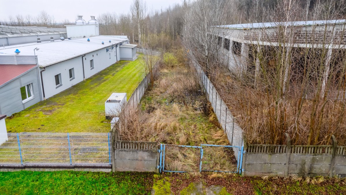 Działka przemysłowo-handlowa na sprzedaż Łojki, Długa  5 770m2 Foto 6