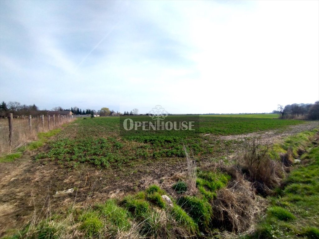 Działka budowlana na sprzedaż Górczyna  4 100m2 Foto 1