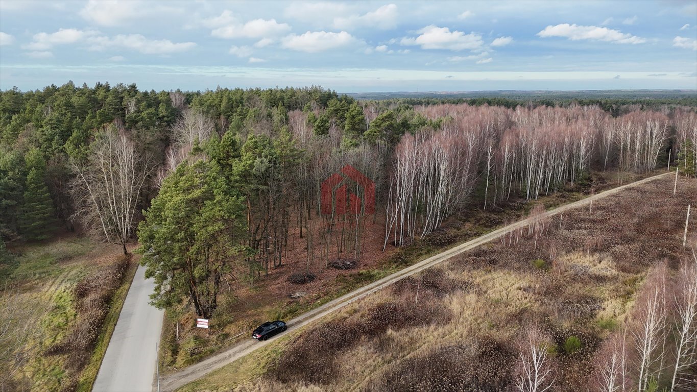 Działka budowlana na sprzedaż Czarna Sędziszowska  1 100m2 Foto 1