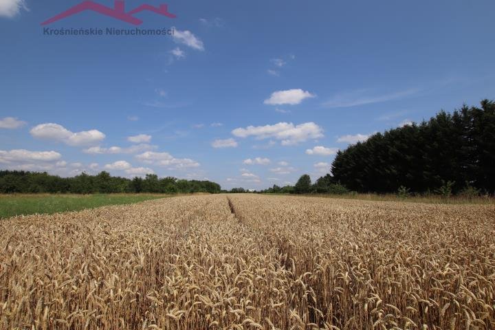 Działka budowlana na sprzedaż Łężany  3 930m2 Foto 5