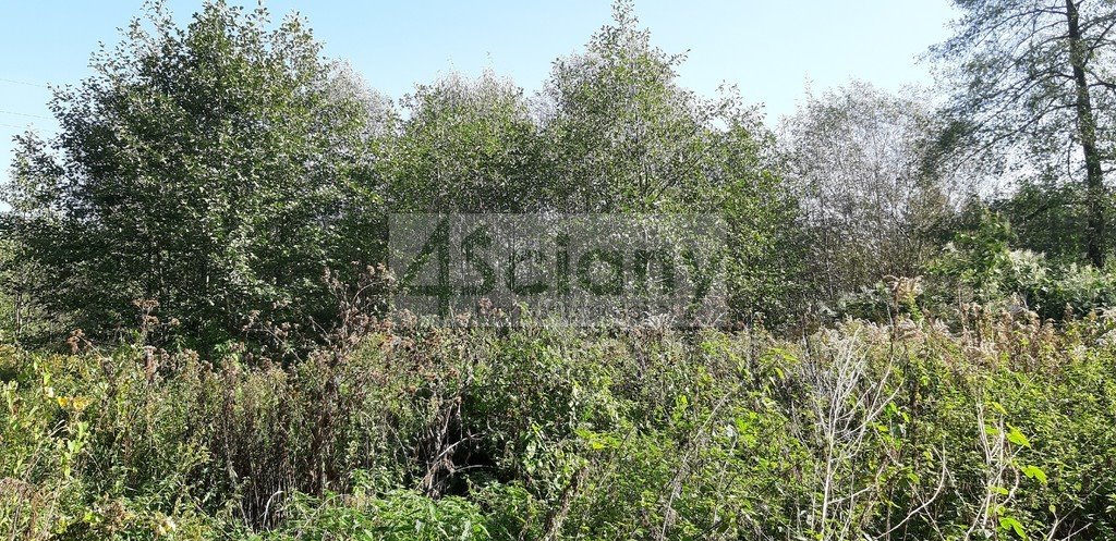 Działka budowlana na sprzedaż Kaliszki  800m2 Foto 1