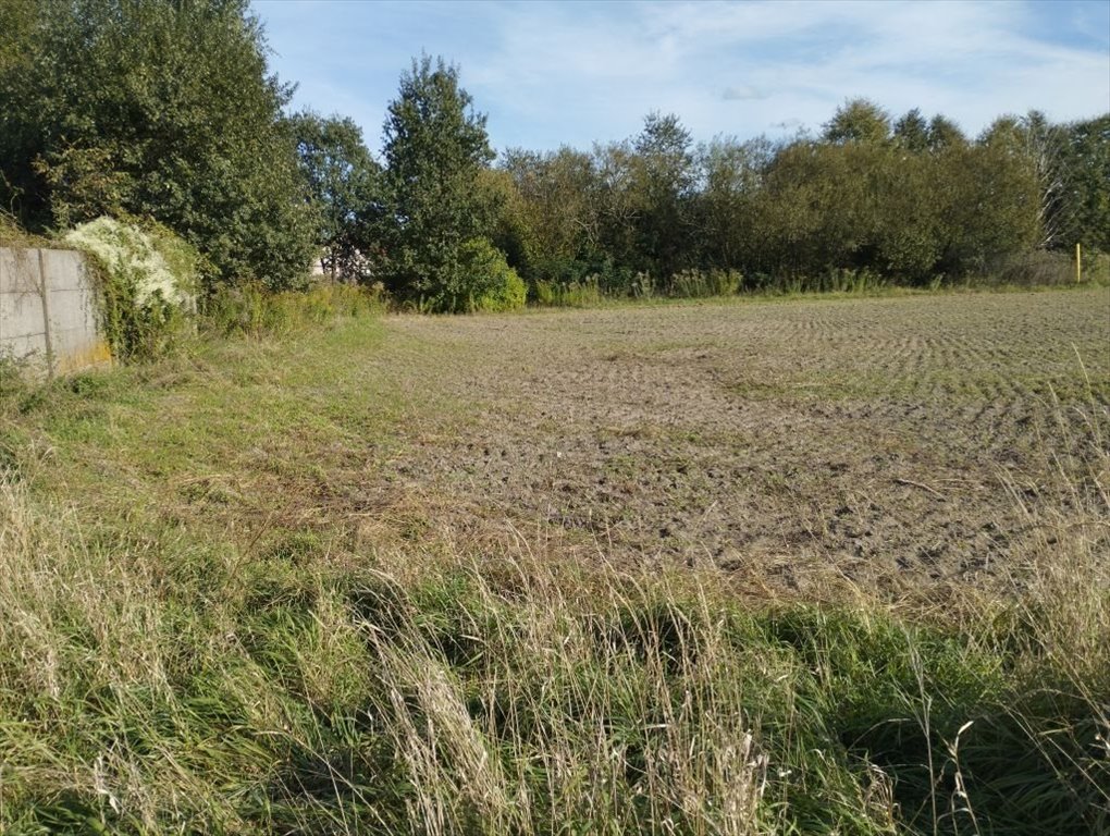 Działka budowlana na sprzedaż Rąbień  1 827m2 Foto 4