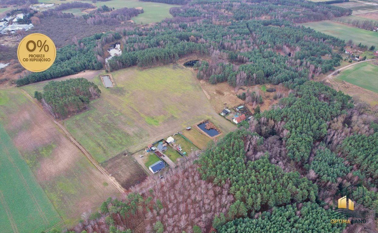 Działka gospodarstwo rolne na sprzedaż Potrzanowo  67 079m2 Foto 7