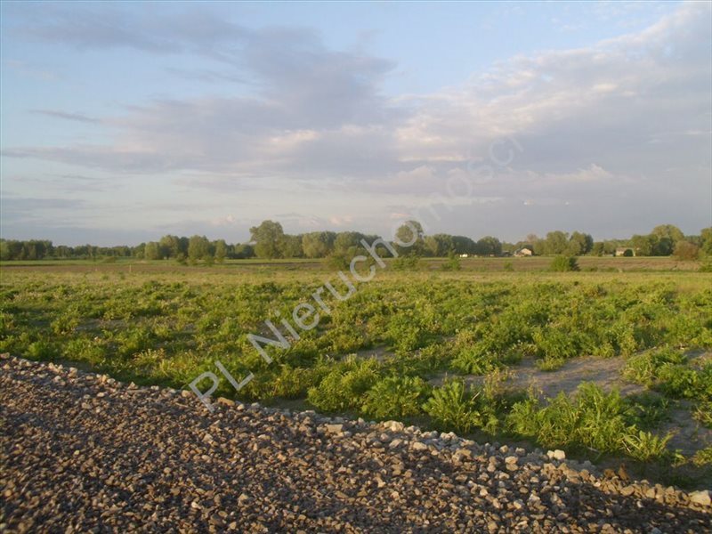 Działka rolna na sprzedaż Holendry Baranowskie  4 669m2 Foto 7