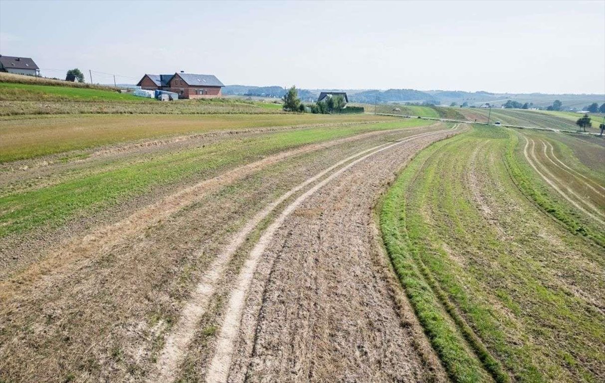 Działka siedliskowa na sprzedaż Sułoszowa  29 400m2 Foto 11