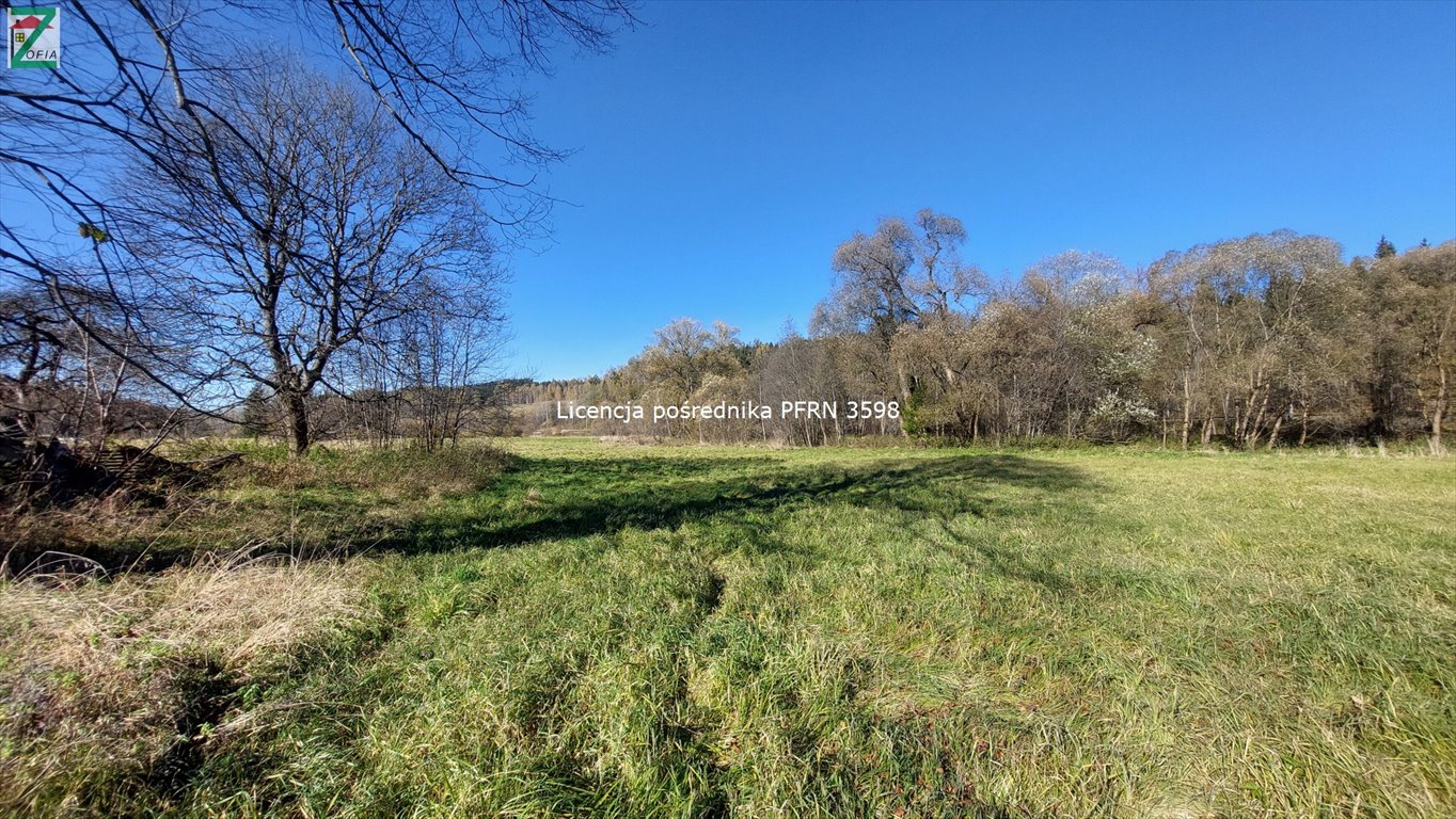 Dom na sprzedaż JORDANÓW  100m2 Foto 7