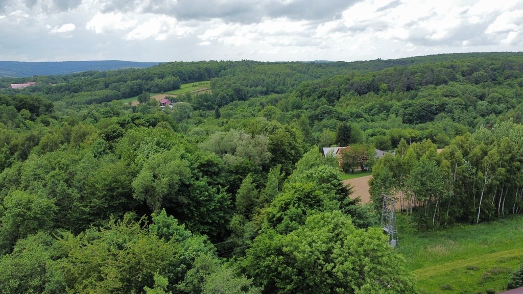 Działka leśna na sprzedaż Hermanowa  1 300m2 Foto 4