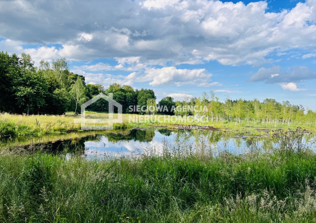 Działka siedliskowa z stawem i lasem - 10,3 ha w Pomorskiem Jaroszewy  100 358m2 Foto 1