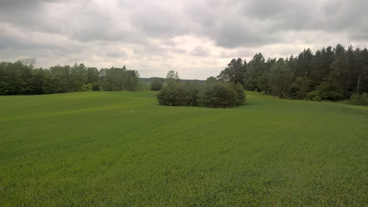 Działka rekreacyjna na sprzedaż Stare Juchy, Stare Juchy  3 000m2 Foto 8