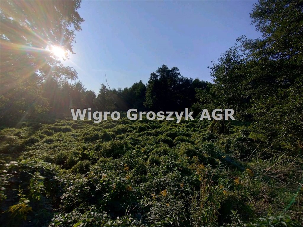 Działka budowlana na sprzedaż Leoncin  1 628m2 Foto 2