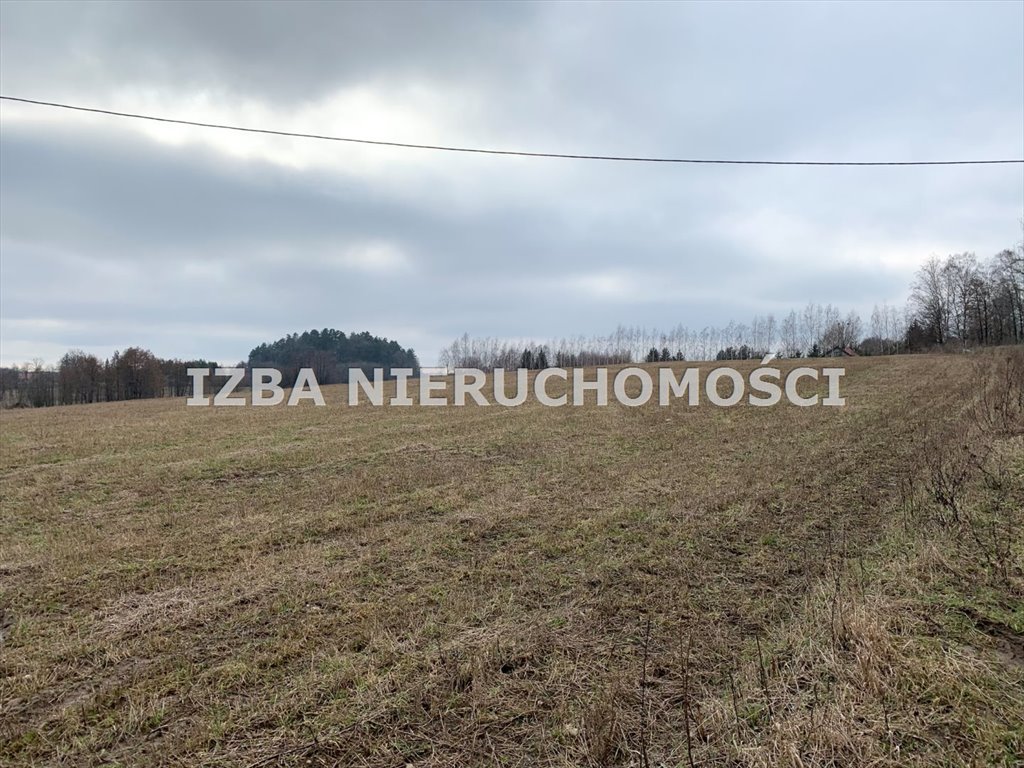 Działka rekreacyjna na sprzedaż Rękusy  3 000m2 Foto 18