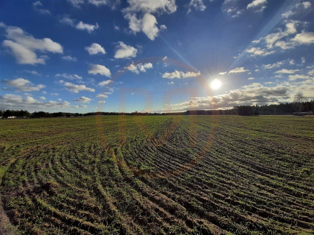 Działka budowlana na sprzedaż Regiel  1 058m2 Foto 16