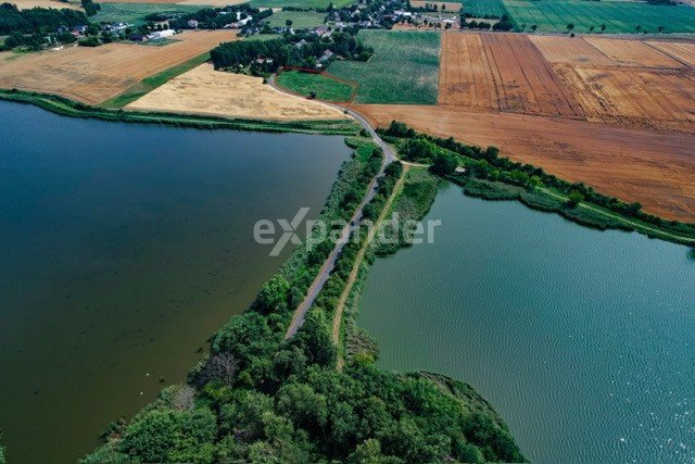 Działka budowlana na sprzedaż Białe Piątkowo  2 573m2 Foto 11