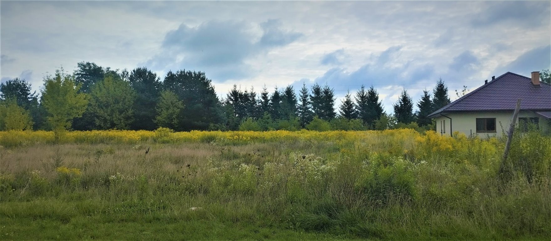 Działka inna na sprzedaż Leszno  1 000m2 Foto 5