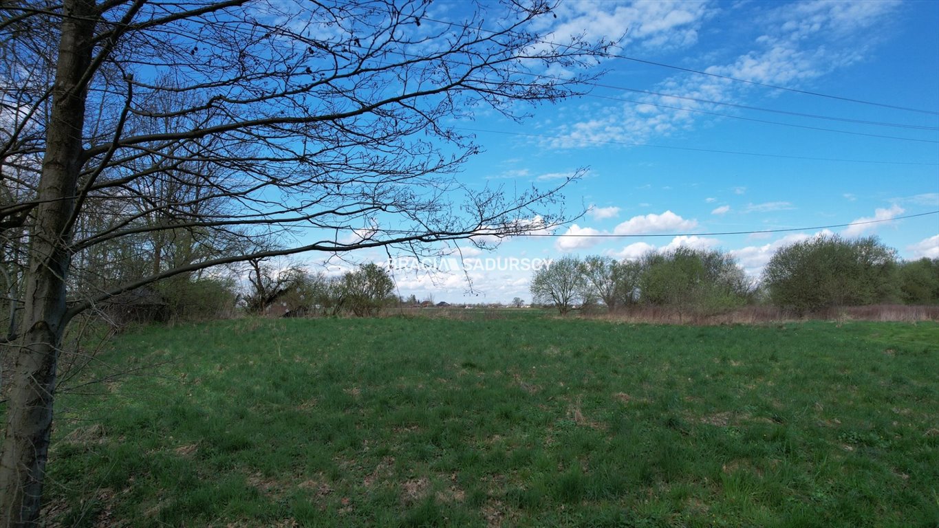 Działka budowlana na sprzedaż Wola Batorska  5 314m2 Foto 17