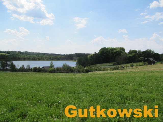 Działka rolna na sprzedaż Jamielnik, gmina Nowe Miasto Lubawskie  10 001m2 Foto 3